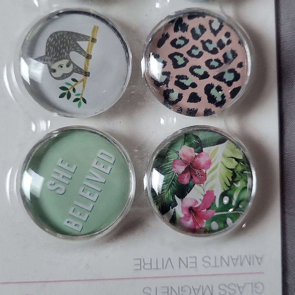 6-Pack of Glass Magnets, New With Tags - Picture 4 of 4